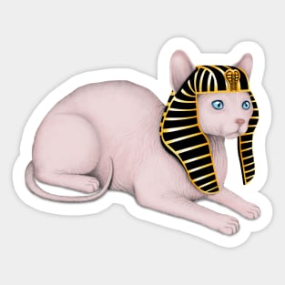 Sphynx Cat (Blue Background) Sticker